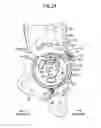 Fig. 25 - Vehicle seat operating device