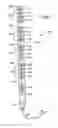 Fig. 02 - Vertical-mount electrical power distribution plugstrip
