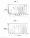 Fig. 06 - Reluctance motor having inductor pole coils located between adjacent ones of the salient poles of a rotor
