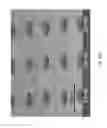 Fig. 41 - Self-aligned gated emitter tip arrays