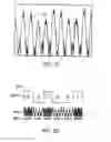 Fig. 03 - METHOD AND APPARATUS FOR THE ZONAL TRANSMISSION OF DATA USING BUILDING LIGHTING FIXTURES