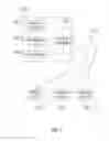 Fig. 08 - Petrophysically regularized time domain NMR inversion