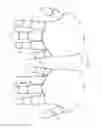 Fig. 04 - METHOD AND SYSTEM FOR FINGERLINE (PHALANGE) MAPPING TO AN INPUT DEVICE OF A COMPUTING DEVICE