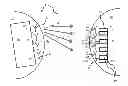 Fig. 01 - Method for angle determination for moving assemblies, and apparatus