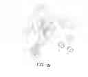 Fig. 12 - CONNECTOR FOR AN IMPLANTABLE MEDICAL DEVICE