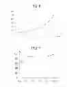 Fig. 17 - Image processing method for display apparatus and image processing apparatus