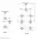 Fig. 06 - PROGRAMMABLE GRAPHICS PROCESSOR FOR MULTITHREADED EXECUTION OF PROGRAMS