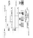 Fig. 06 - Image processing apparatus, method, program and display
