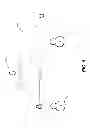 Fig. 06 - Generation of images based on orientation