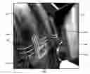 Fig. 01 - Noncontact measuring device