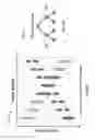 Fig. 07 - Target localization utilizing wireless and camera sensor fusion