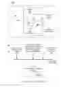 Fig. 05 - DETECTING COUNTERFEIT PRINT MATERIAL WITH CAMERA-EQUIPPED COMPUTING DEVICE