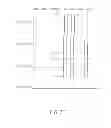 Fig. 09 - Liquid crystal optical device, solid state imaging device, portable information terminal, and display device