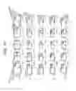 Fig. 10 - Projection apparatus, projection method, and projection program medium which corrects image distortion based on pixel usage