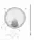 Fig. 08 - Dynamic and depolarized dynamic light scattering colloid analyzer