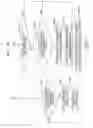 Fig. 09 - Non-transitory computer-readable medium storing communication program including external device type judging and communication device including external device type judging