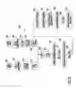 Fig. 40 - Variable reflectance mirror reflective element for exterior mirror assembly