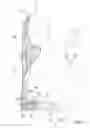 Fig. 10 - Illuminated water bottle cage