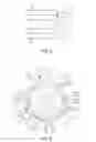 Fig. 05 - Lamp Device and Luminaire