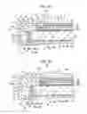 Fig. 05 - DISPLAY DEVICE, ELECTRONIC APPARATUS AND ILLUMINATION DEVICE