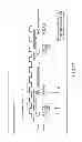 Fig. 12 - Nonvolatile random access memory