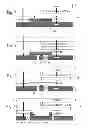 Fig. 04 - Timepiece mechanism cassette