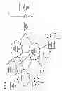 Fig. 02 - Method and system for intercepting over-the-top communications