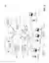 Fig. 07 - Method for multicast mobility