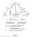 Fig. 04 - APPARATUS AND METHOD FOR ACQUIRING SYNCHRONIZATION IN COOPERATIVE COMMUNICATION SYSTEM
