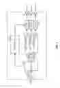 Fig. 02 - Cut-through processing for slow and fast ports