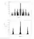 Fig. 08 - Rank-order equalization