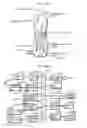 Fig. 30 - Filtering method for performing deblocking filtering on a boundary between an intra pulse code modulation block and a non-intra pulse code modulation block which are adjacent to each other in an image