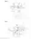 Fig. 02 - X-ray fluorescence analyzer