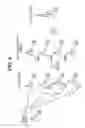 Fig. 05 - Microphone array arrangement structure in vehicle cabin