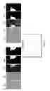 Fig. 07 - Methods and apparatuses for gesture recognition