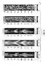 Fig. 32 - Inversion-based workflow for processing nuclear density images in high-angle and horizontal wells
