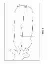 Fig. 09 - ESTIMATING PHYSICAL PARAMETERS USING THREE DIMENSIONAL REPRESENTATIONS