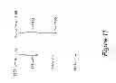 Fig. 12 - Deriving image data from data received from an ultrasound probe