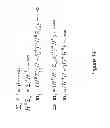 Fig. 15 - Deriving image data from data received from an ultrasound probe