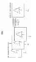 Fig. 02 - IMAGE PROCESSING DEVICE, IMAGE PROCESISNG METHOD, PROGRAM,
AND IMAGING DEVICE