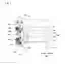 Fig. 02 - Focal plane shutter and optical device