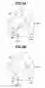 Fig. 03 - Image forming apparatus