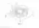 Fig. 06 - Impeller and fan using the same