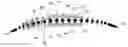 Fig. 01 - Composite aerofoil vane