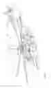 Fig. 02 - Flexbeam to rotor blade interface