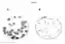 Fig. 03 - 2'-BRANCHED NUCLEOSIDES AND FLAVIVIRIDAE MUTATION