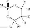 Fig. 22 - 2'-BRANCHED NUCLEOSIDES AND FLAVIVIRIDAE MUTATION