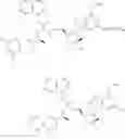 Fig. 102 - Substituted Purine Nucleosides, Phosphoramidate and Phosphordiamidate Derivatives for Treatment if Viral Infections