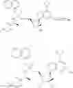 Fig. 112 - Substituted Purine Nucleosides, Phosphoramidate and Phosphordiamidate Derivatives for Treatment if Viral Infections