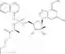 Fig. 137 - Substituted Purine Nucleosides, Phosphoramidate and Phosphordiamidate Derivatives for Treatment if Viral Infections